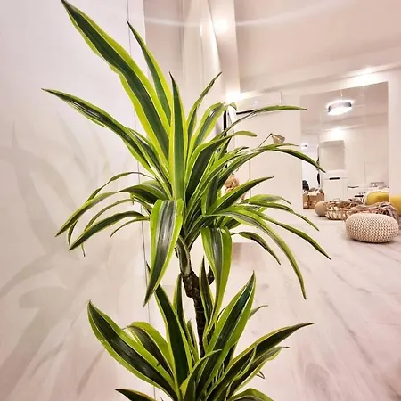 Un Ami Apartment