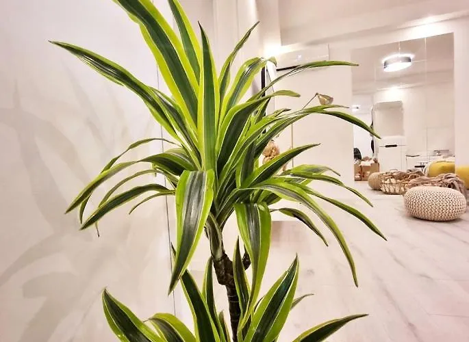 Un Ami Апартаменти